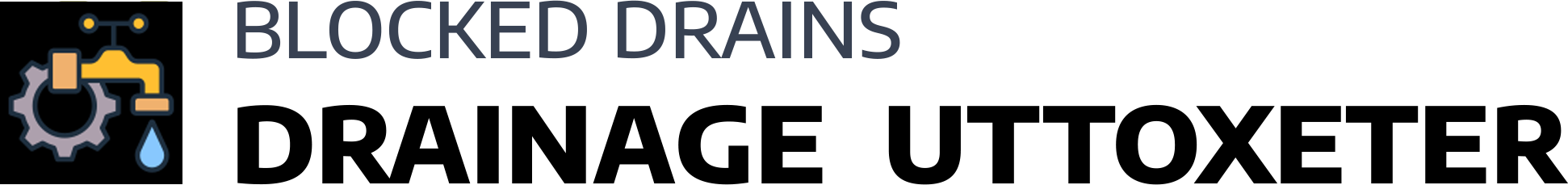 website logo